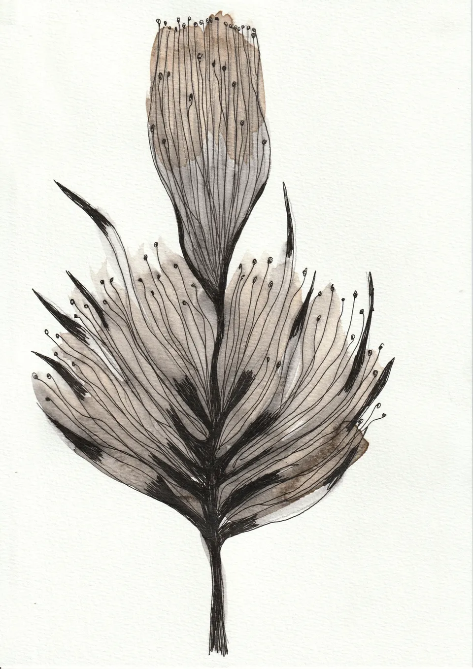 Cuttings No. 8, ink on paper