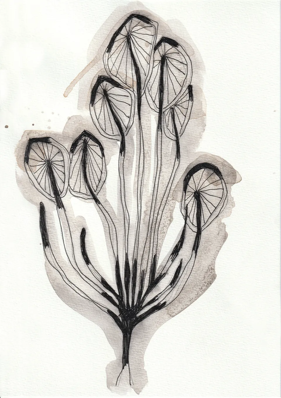 Cuttings No. 9, ink on paper