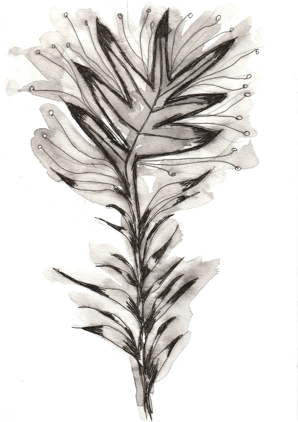 Cuttings No. 1, ink on paper