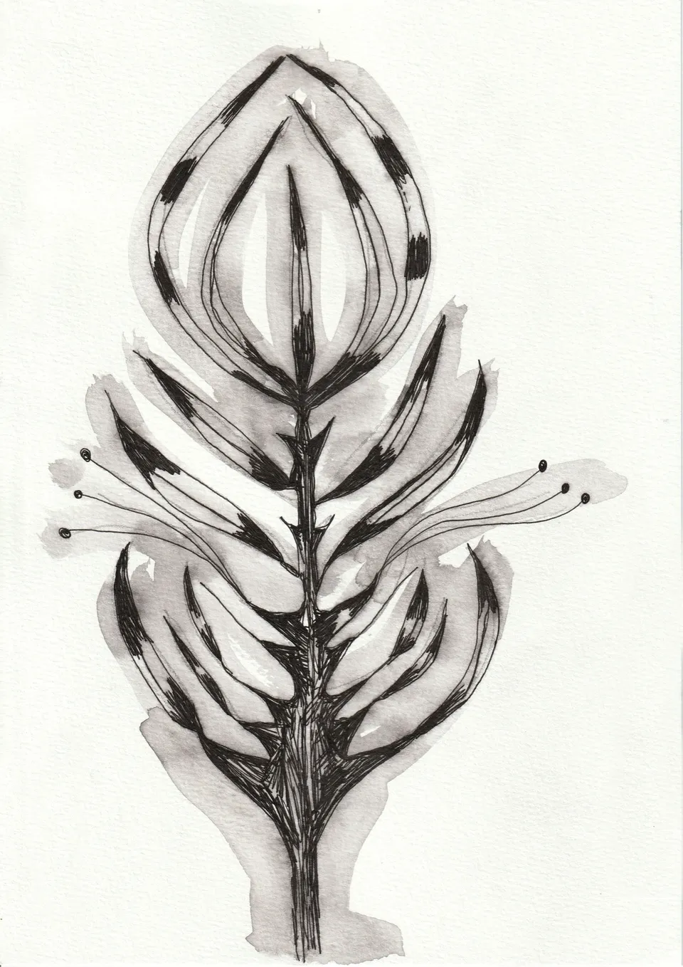 Cuttings No. 2, ink on paper